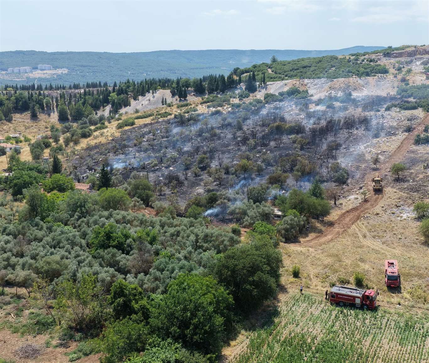    Menteşe ve Dalaman’da çıkan yangınlar söndürüldü haberi